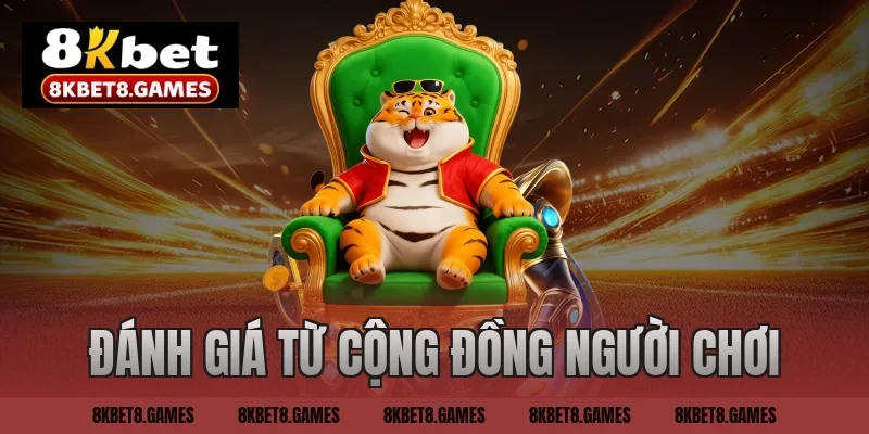 So sánh 8KBET với SUN88 từ cộng đồng người chơi