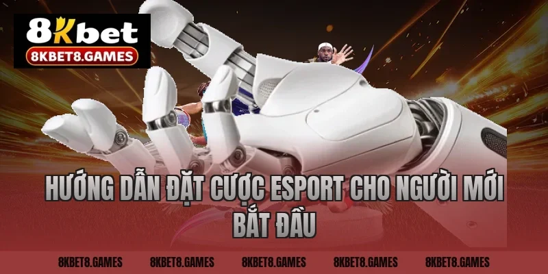 Hướng dẫn đặt cược Esport cho người mới bắt đầu